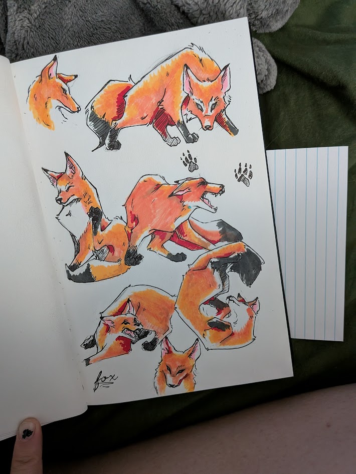 New drawing practice